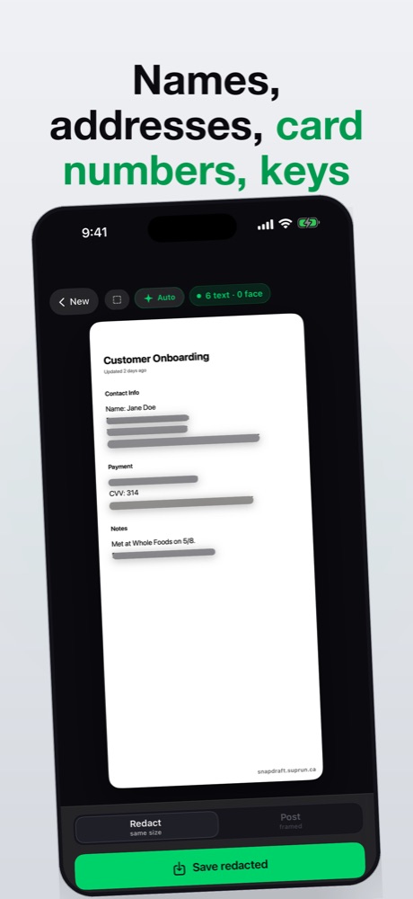 Names, card numbers and API keys blurred automatically